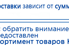 Электроды Скэнар -  двойной овал 55х90 мм купить в Калуге, Электроды Скэнар купить в Калуге, Скэнар официальный сайт - denasvertebra.ru